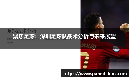 聚焦足球:深圳足球队战术分析与未来展望