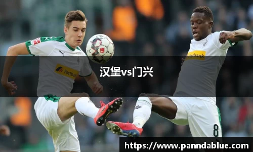 汉堡vs门兴